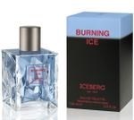 Iceberg Burning Ice - фото 11143