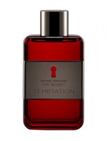 Antonio Banderas The Secret Temptation - фото 17497