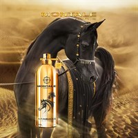 Montale Arabians - фото 18721