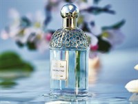 Guerlain Aqua Allegoria Coconut Fizz - фото 19601