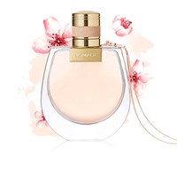 Chloe Nomade - фото 19610