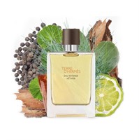 Hermes Terre D'Hermes Eau Intense Vetiver - фото 19846