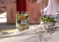 Nasomatto Nudiflorum - фото 20872