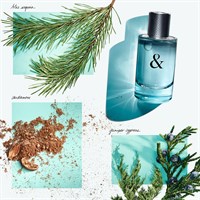 Tiffany Tiffany & Love For Him - фото 21061