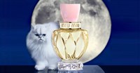 Miu Miu Twist Eau De Toilette - фото 21233