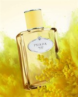 Prada Prada Infusion de Mimosa - фото 22145