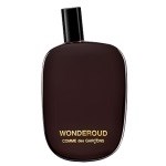 Comme des Garcons Wonderoud - фото 7980