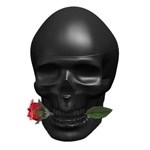 Ed Hardy Skulls &  Roses for Him - фото 8894