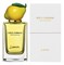 D&G Fruit Collection Lemon - фото 22468