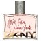 Donna Karan DKNY Love from New York for Women - фото 8812